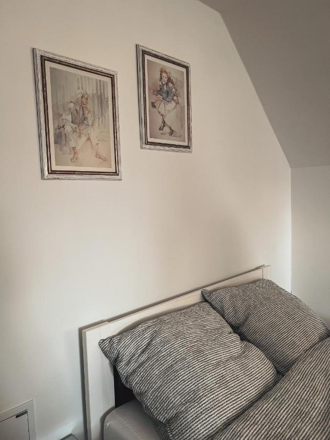 Jablonka  Przytulny Apartamentt מראה חיצוני תמונה